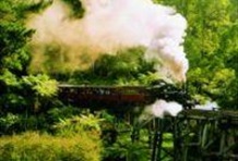 Puffing Billy with Wildlife and Winery Lunch